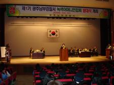 사진7