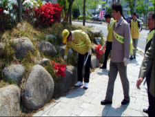 사진11