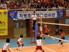 사진0