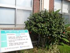 사진6