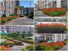 사진10