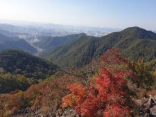 사진8