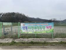 사진7